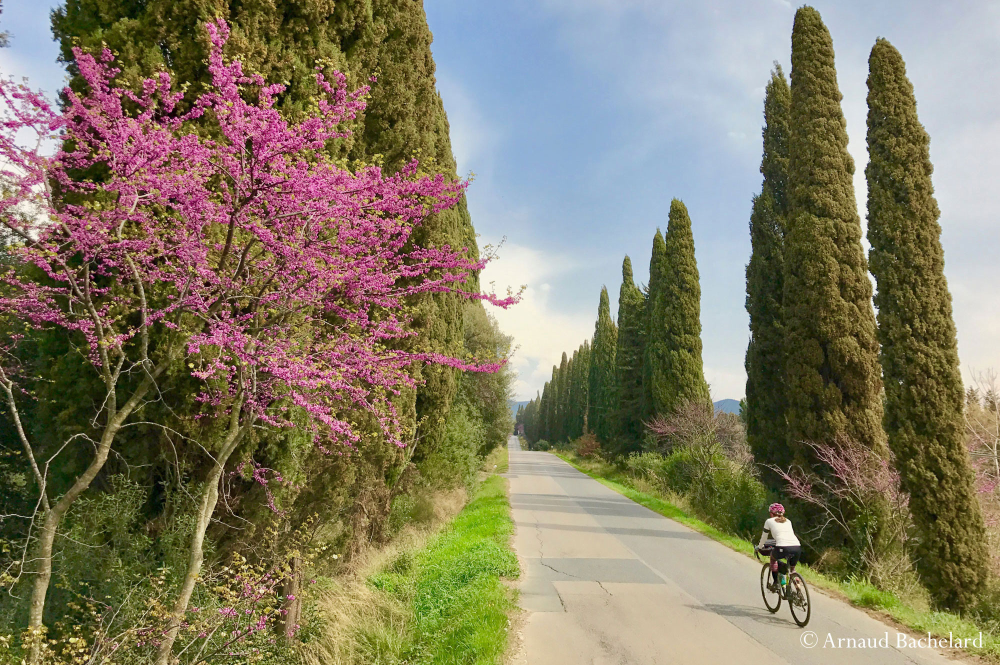 IMG 8499 Arnaud Bachelard